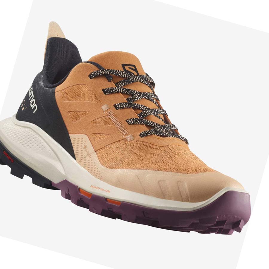 Tenis Senderismo Salomon WoOUTPULSE GORE-TEX Mujer Marrom | MX 2839AHK